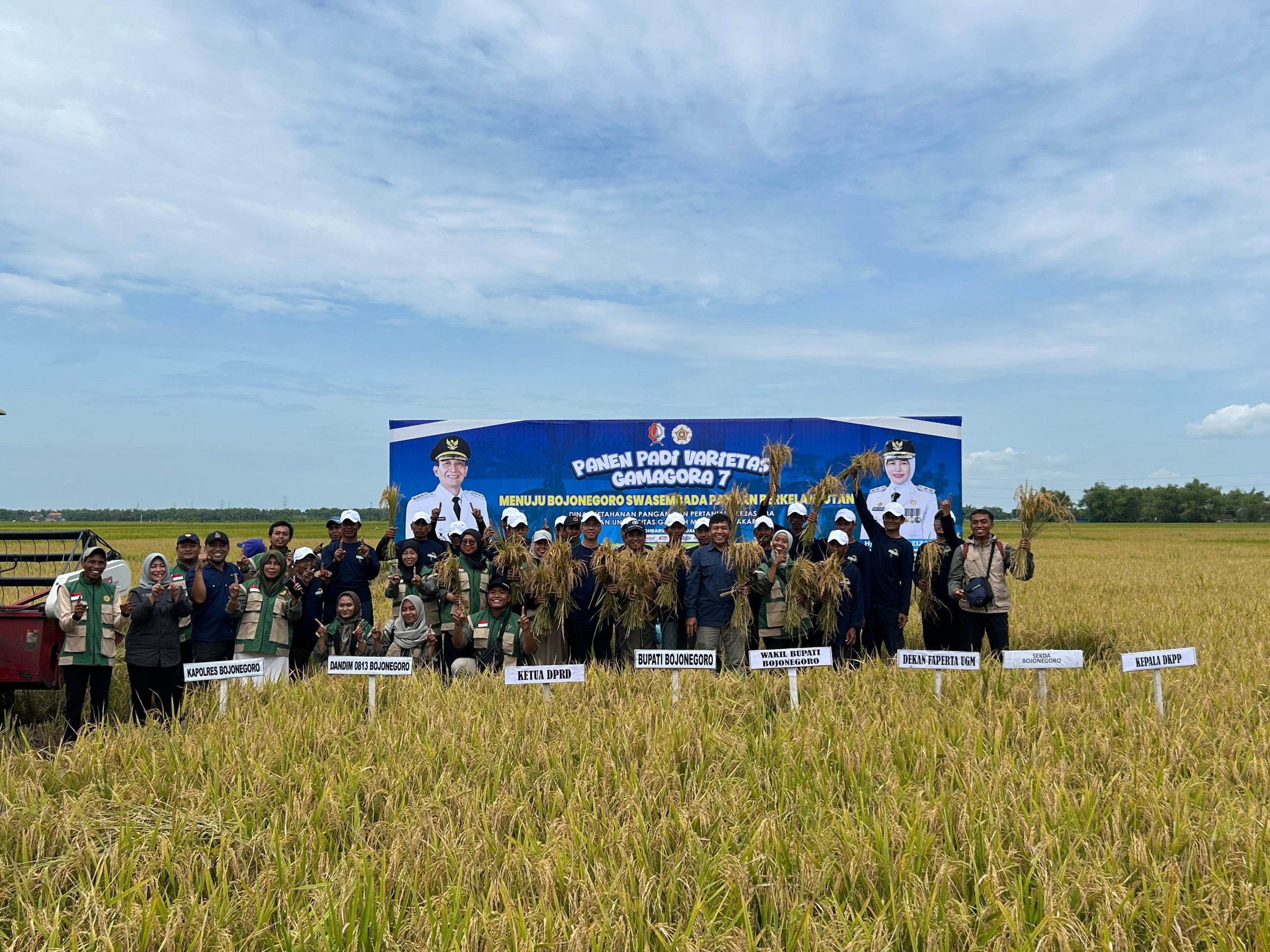 Panen Perdana Gamagora 7 di Bojonegoro: Sinergi Pemda–UGM Perkuat Jalan Menuju Swasembada Pangan Berkelanjutan
